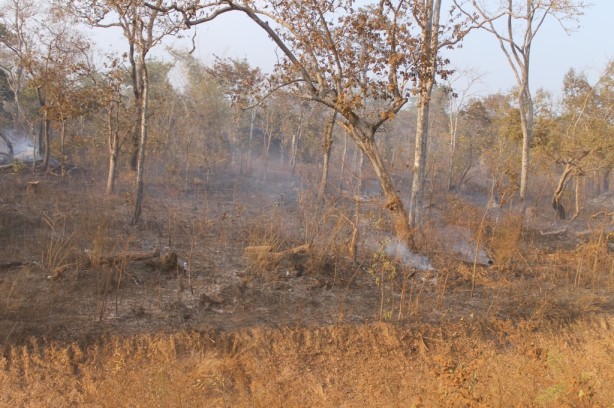 The smoke from the fires permeates the air in Cambodia