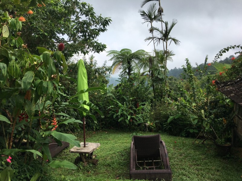 Finding Serenity at Sarinbuana Eco Lodge