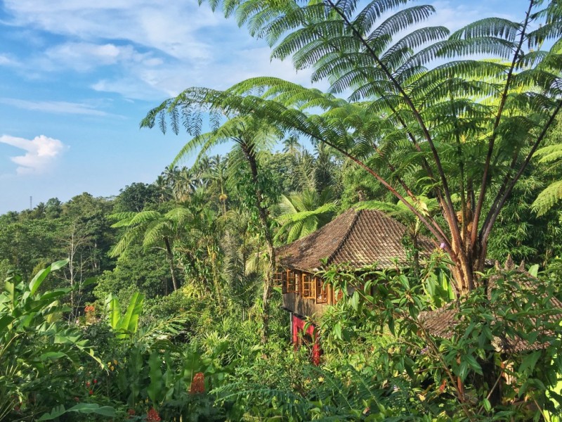 A look at the stunning Sarinbuana Eco Lodge in Bali, a sustainable lodge featuring private bungalows in the heart of the island. 